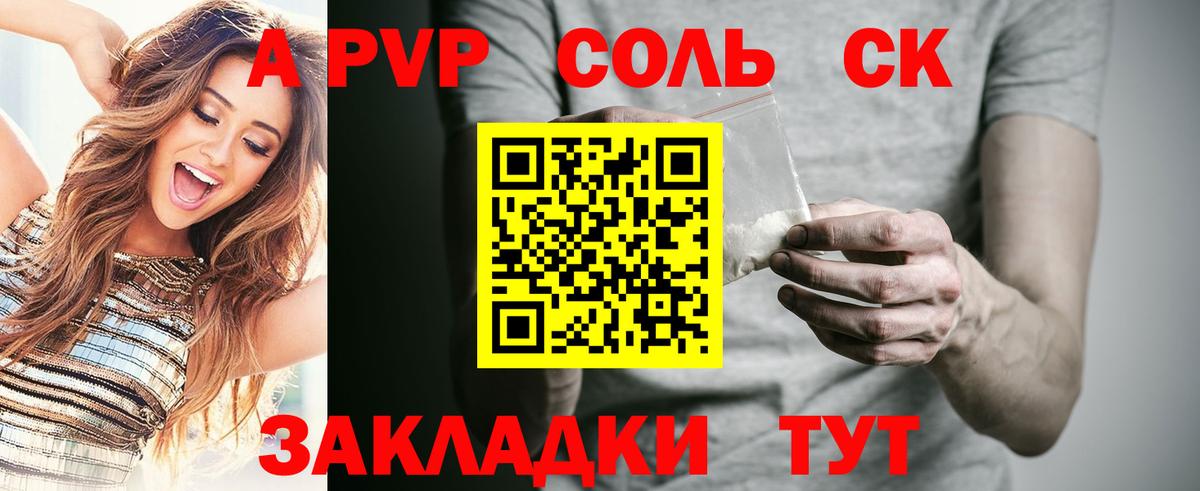 A PVP СК КРИС Магадан