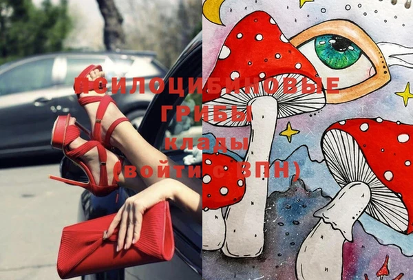 таблы Алексеевка