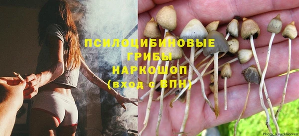 ешки Алексин