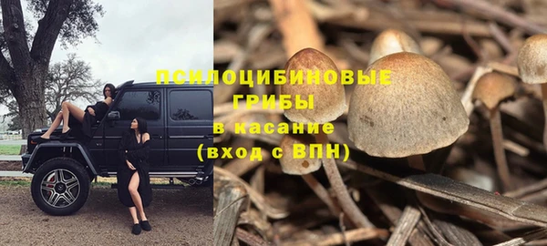 ешки Алексин