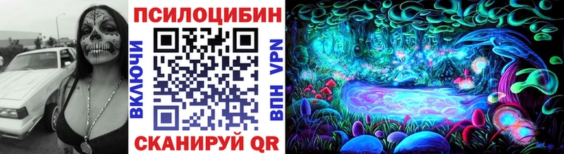 продажа наркотиков  Магадан  Галлюциногенные грибы Cubensis 