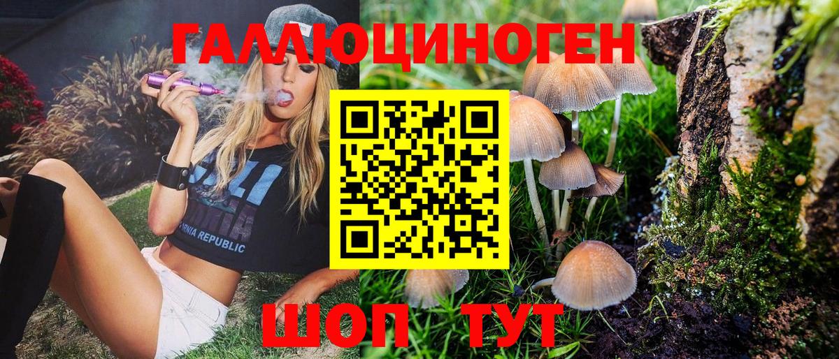 Псилоцибиновые грибы Psilocybe Магадан