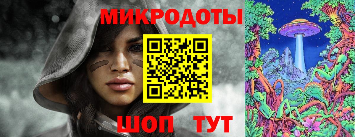 Галлюциногенные грибы Psilocybine cubensis  Вход с VPN  что такое   Магадан 